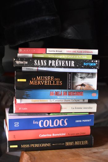 13 livres + 1 DVD Bridget Jones