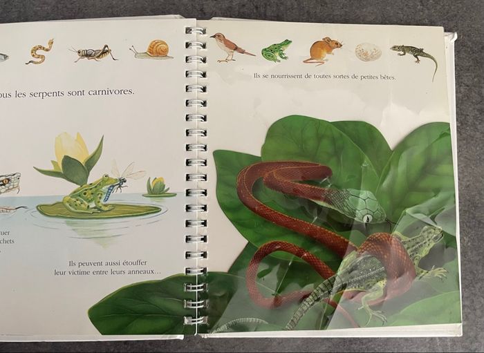 Livre le serpent - photo numéro 5