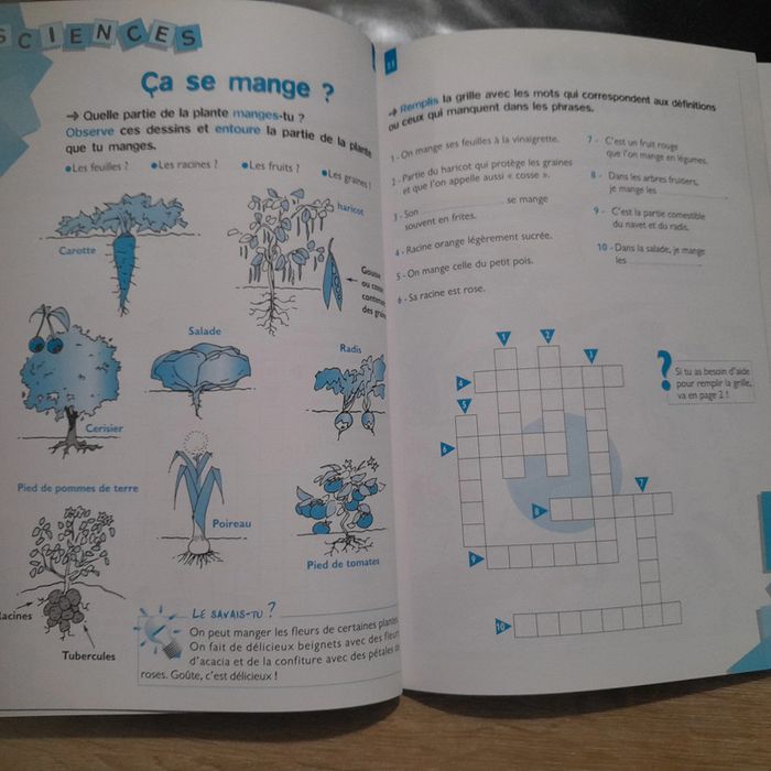 cahier Je révise par les mots croisés 7-8 ans - Retz - photo numéro 4