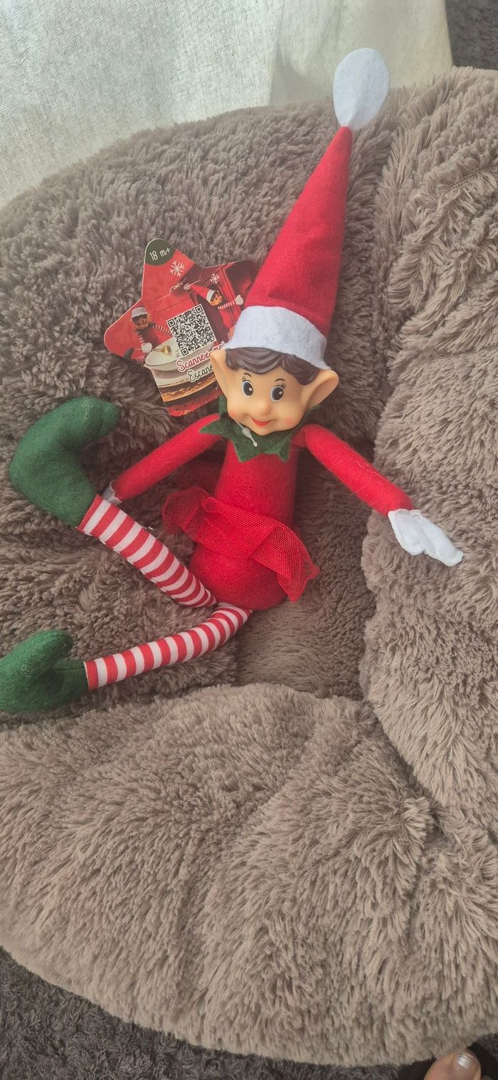 Lutine de Noël 🎄 - photo numéro 2