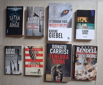 Lot de 8 romans dont 5 de Karine Giebel 