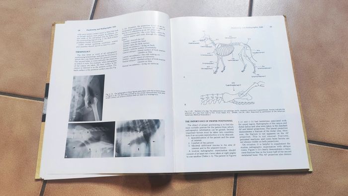 Radiographic positioning of small animals - photo numéro 3