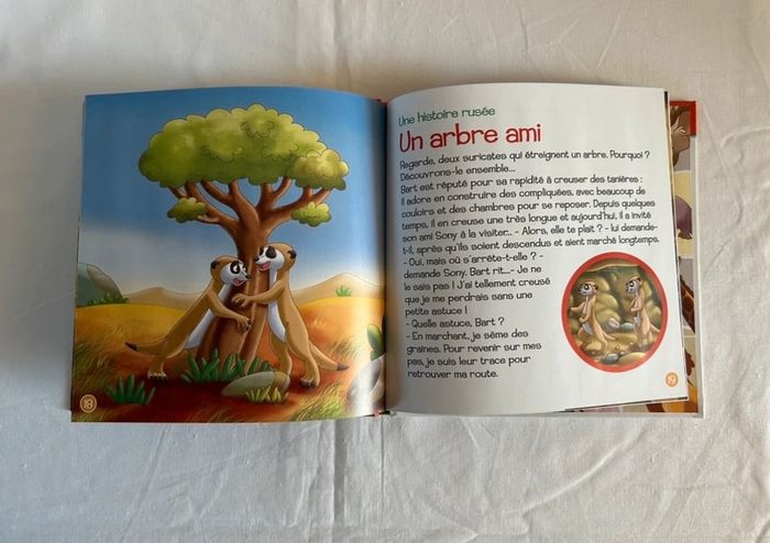 Livre le suricate + 2 figurines - photo numéro 7