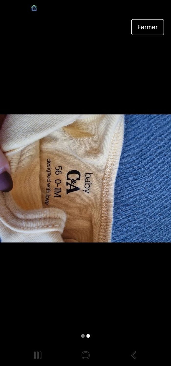 Bodi petit chien - photo numéro 2