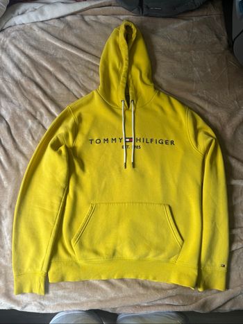 Pull à capuche Tommy Hilfigher