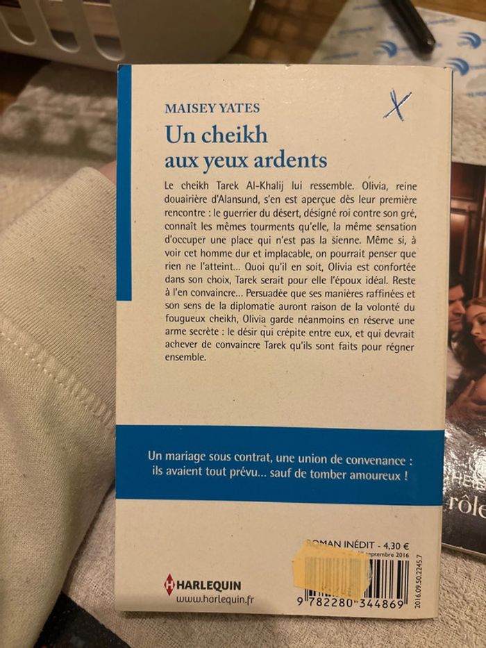 Un cheikh aux yeux ardents - photo numéro 2