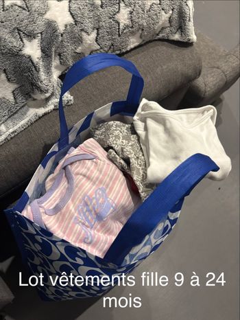 Lot de vêtements fille 9 à 24 mois 