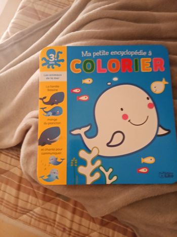 Livre ma petite encyclopédie à colorier