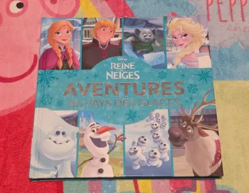 Livre Reine des Neiges