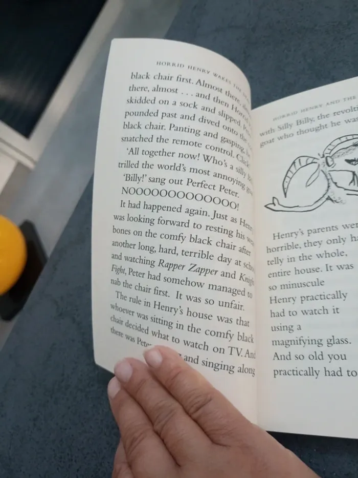 Horrid Henry wakes the dead - photo numéro 8