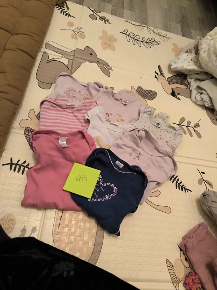 Lot 8 bodies