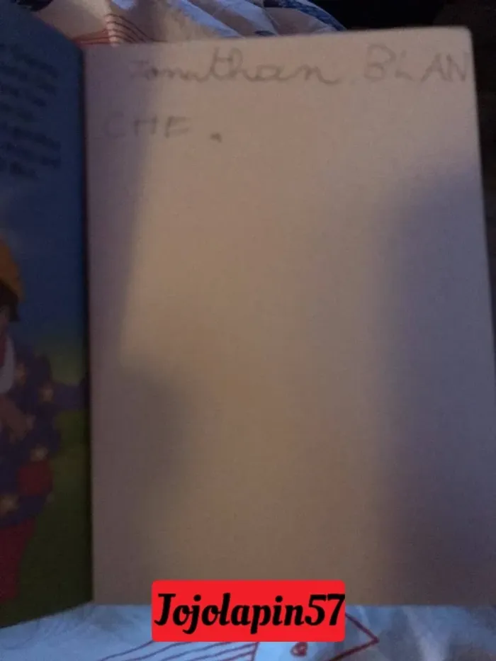 Buch Pinocchio - photo numéro 4