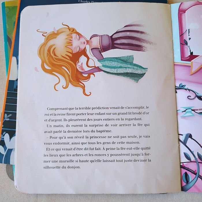 Lot de 3 Contes - photo numéro 4