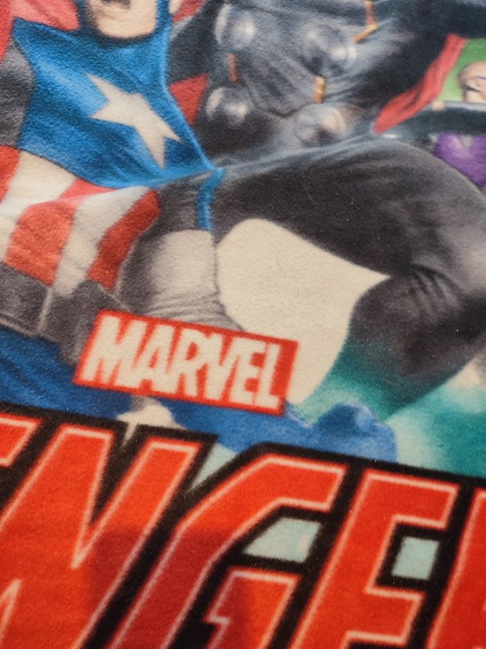 Plaid Avengers - photo numéro 2