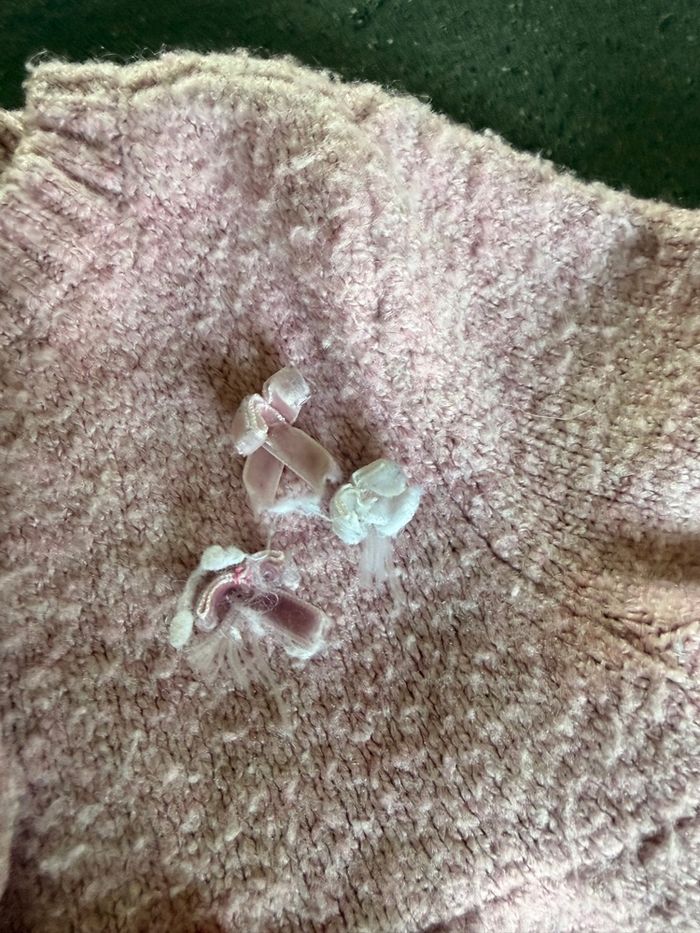 Lot fille 2-3 ans - photo numéro 8