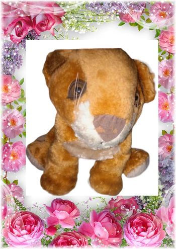 💫🌸Peluche 🌸💫