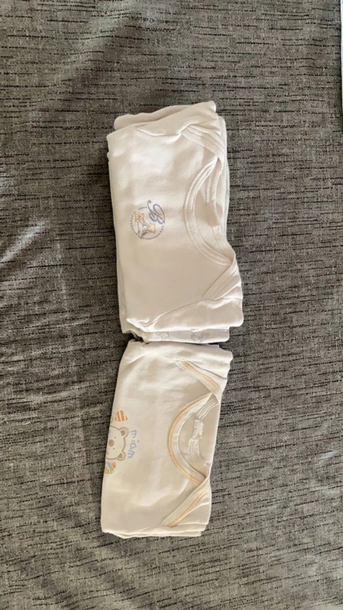 Lot 5 bodies 36 mois