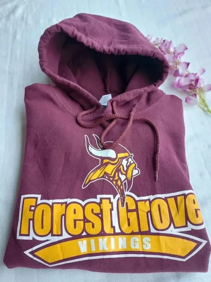 Sweat à capuche mixte Forest Grove Vikings Taille L - photo numéro 10