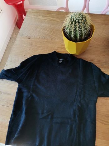 Pull Mango