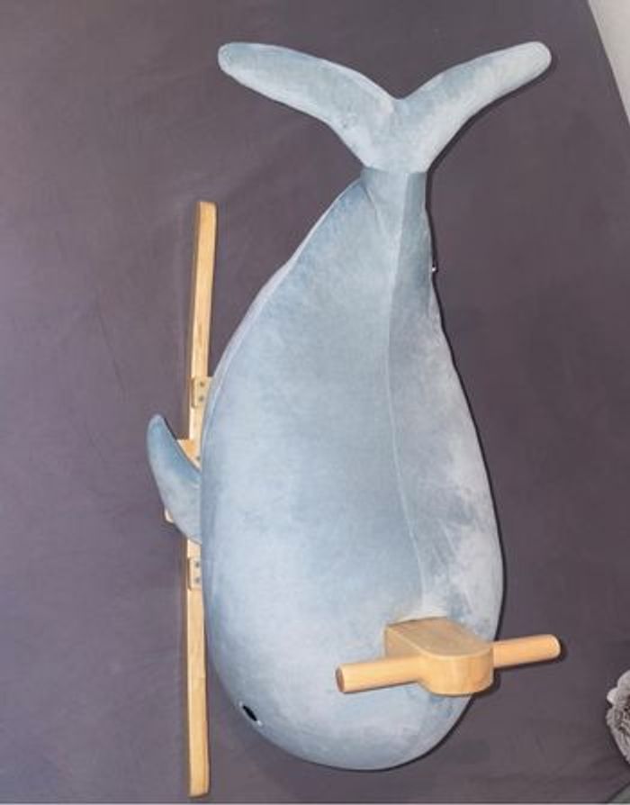 Baleine à bascule - photo numéro 2