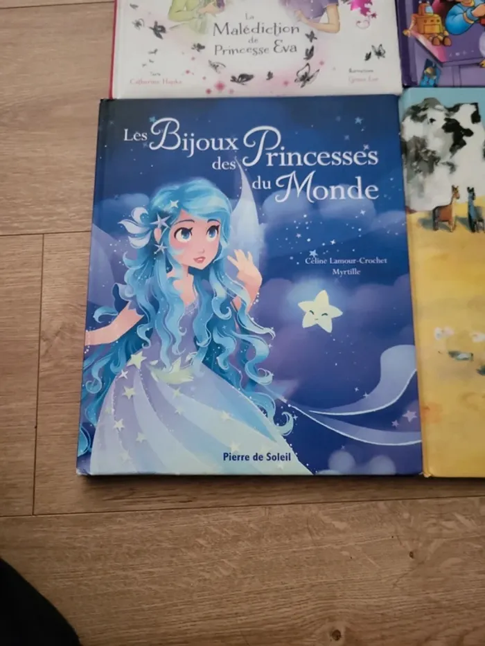 Lot 6 livres - photo numéro 2