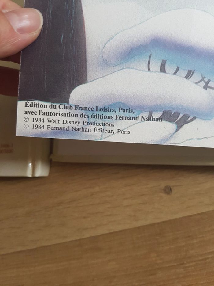 Livres Disney - photo numéro 8