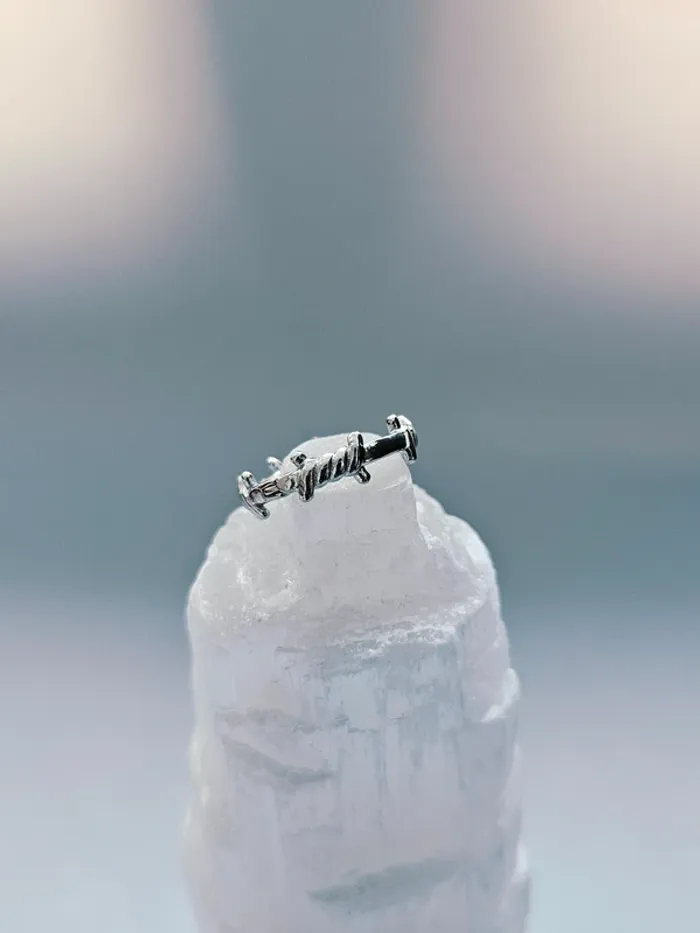 Paire Boucles d’oreilles acier inoxydable anneaux épineux - photo numéro 2