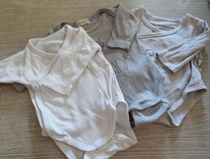 Bodies