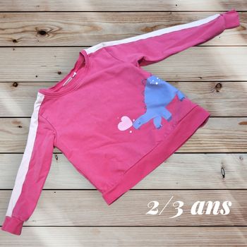 🦖 Sweat Name It – Motif dinosaure – Taille 2/3 ans 🌈