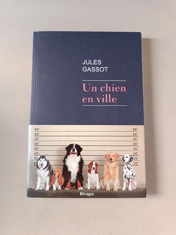 Un chien en ville Jules gassot rivage