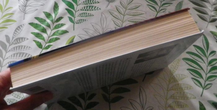 Les liens du passé de Elizabeth Adler Ed. Succès du Livre - photo numéro 4