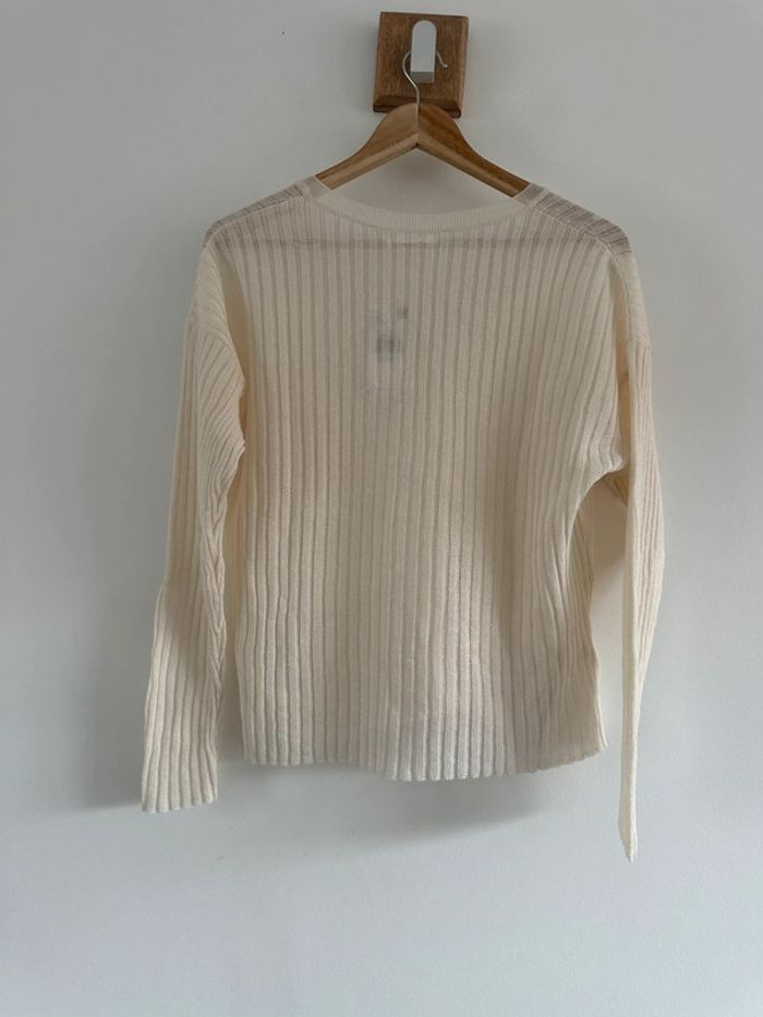 Pull mange - photo numéro 5