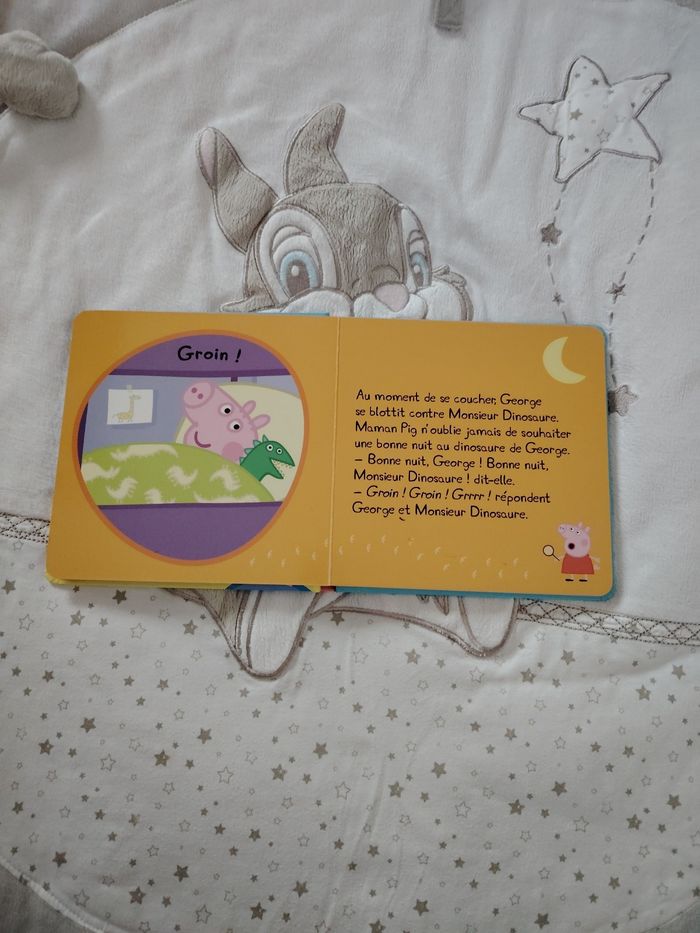 Livre perdu son doudou - photo numéro 3