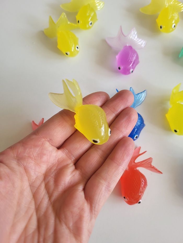 Poissons et épuisettes - photo numéro 4