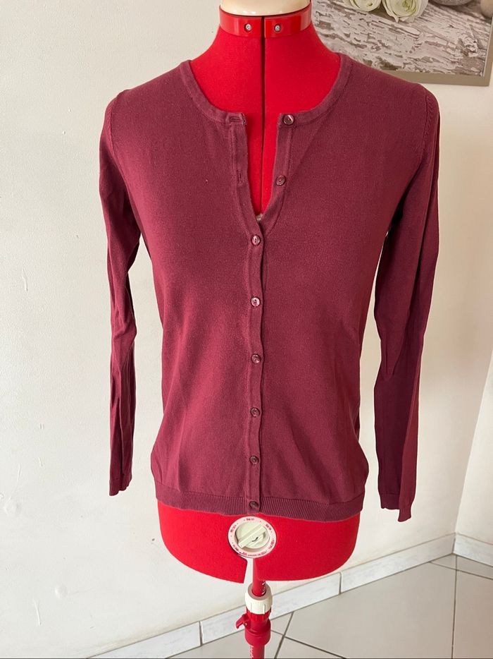 Gilets - photo numéro 4