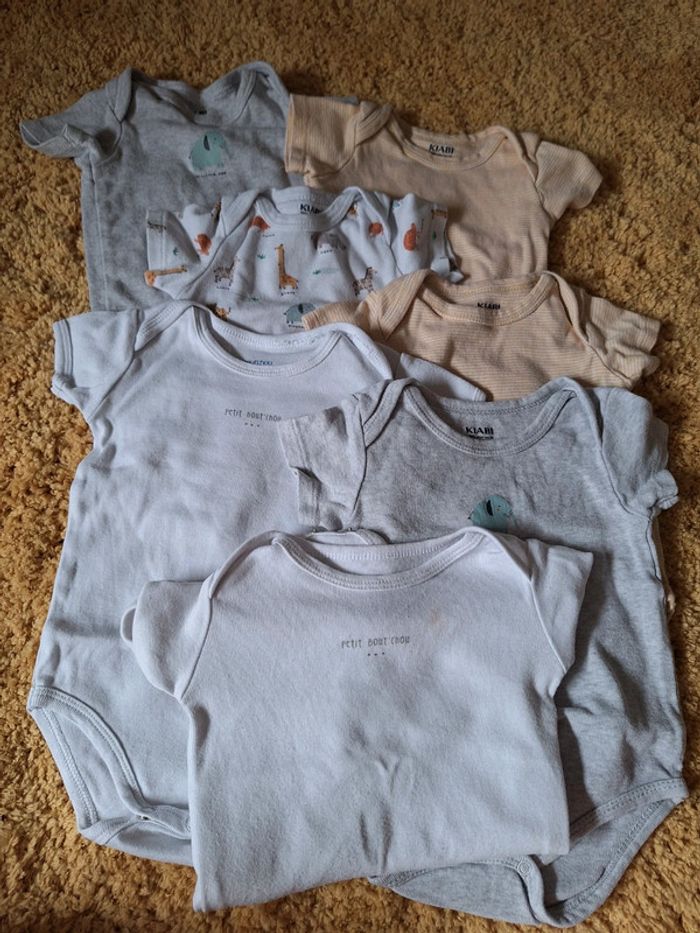 Lot bodies