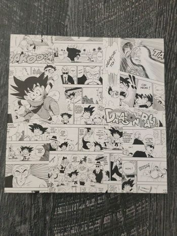 Déco Cadre Dragon Ball