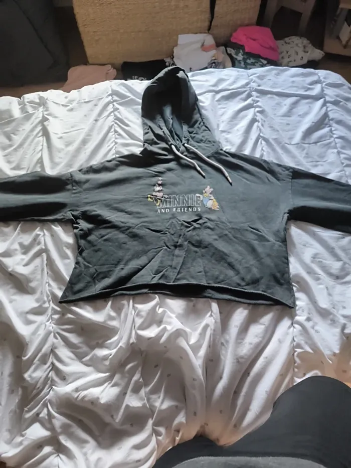 Pull Disney Minnie