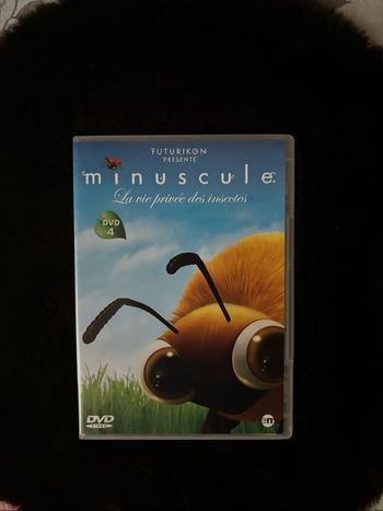 La vie vie privée des insectes