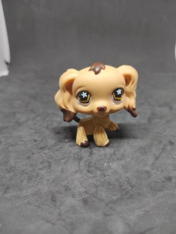 My Littlest Petshop LPS Dog Cocker  Spaniel 585  Authentic  #geektradelpschien