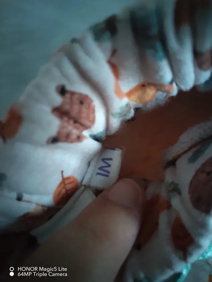 Jogging - photo numéro 3