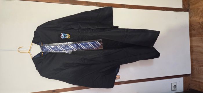 Déguisement de sorcier de la maison Serdaigle de Harry Potter Poudlard - photo numéro 2