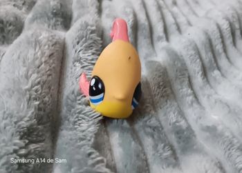 Petshop poisson 1150