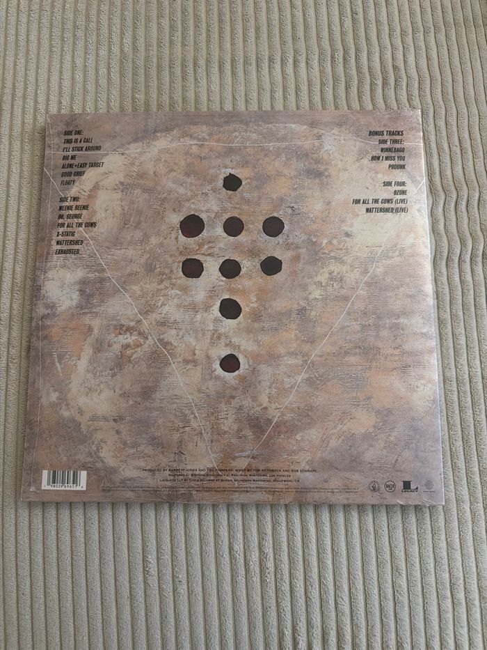 Vinyle Foo Fighter collector - photo numéro 2