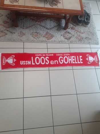 Écharpe de supporter