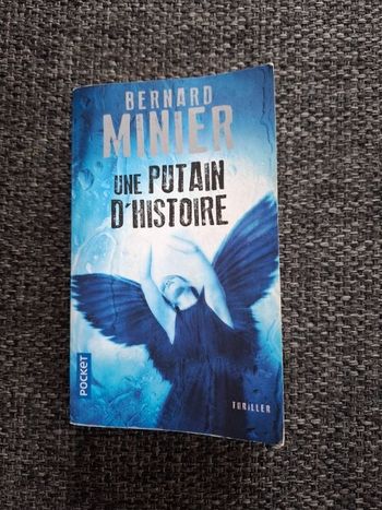 Thriller de Bernard Minier Une putain d'histoire en bon état