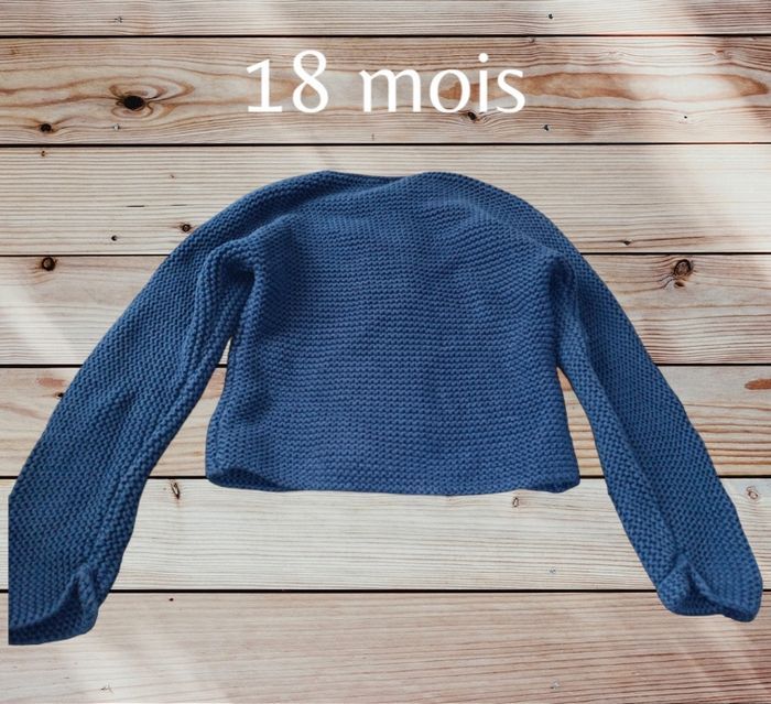 Gilet hivers - photo numéro 2