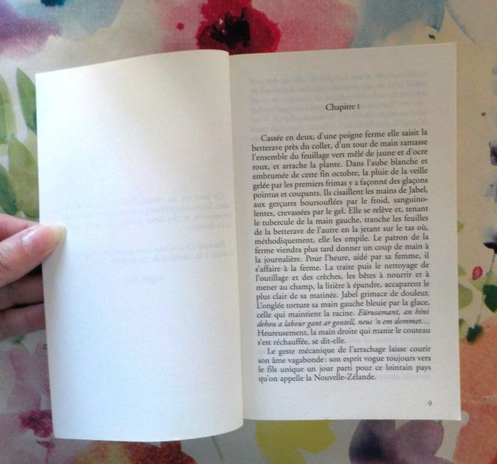 Le voyage de Jabel d'Angèle Jacq Ed. du Palémon - photo numéro 5