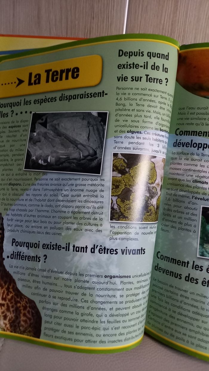 Les origines, collection questions/réponses - photo numéro 4