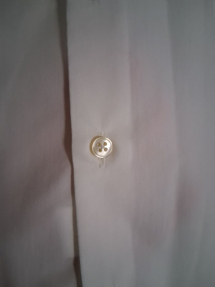 Costard - photo numéro 6